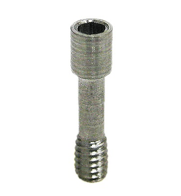 Abutment screw